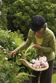 Peony time